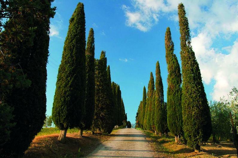 Le Traverse Pienza Zewnętrze zdjęcie